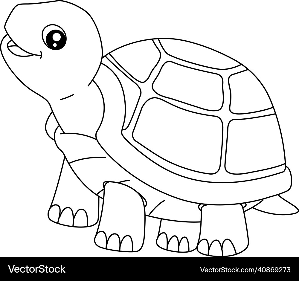 Turtle Coloring Page For Isolated Kids Royalty Free Vector VectorStock Turtle Coloring Page For Isolated Kids Royalty Free Vector VectorStock