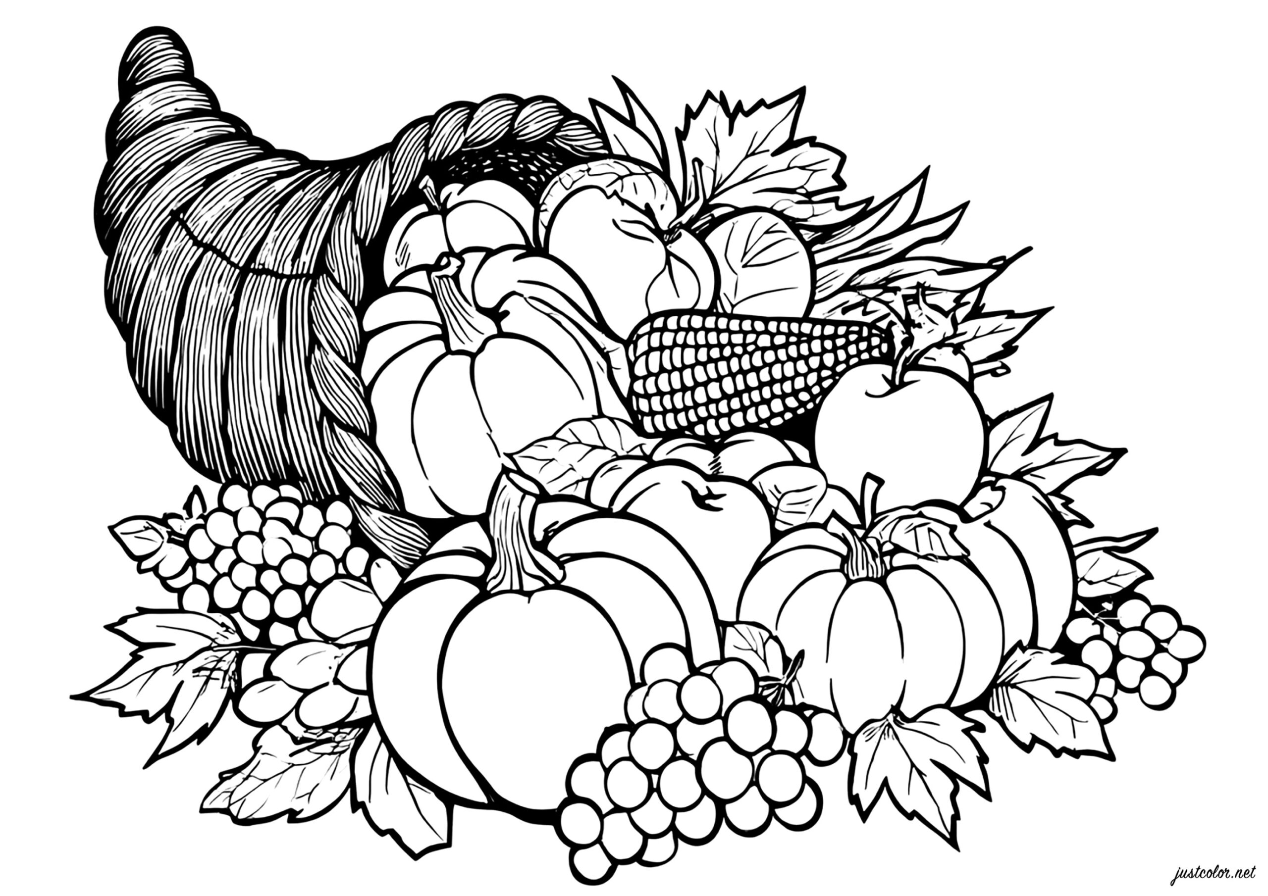 Varied Fruit Horn Of Plenty Thanksgiving Coloring Pages For Adults