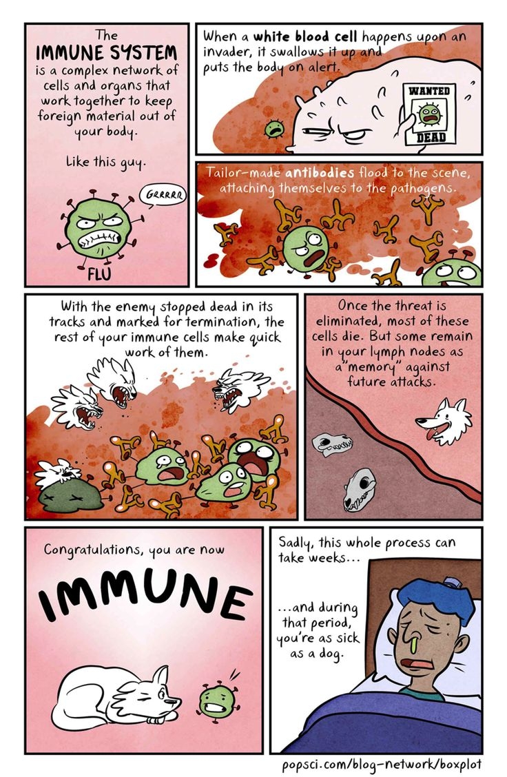 Why You Are Still Alive The Immune System Explained SaturdayMorningCartoons Why You Are Still Alive The Immune System Explained SaturdayMorningCartoons