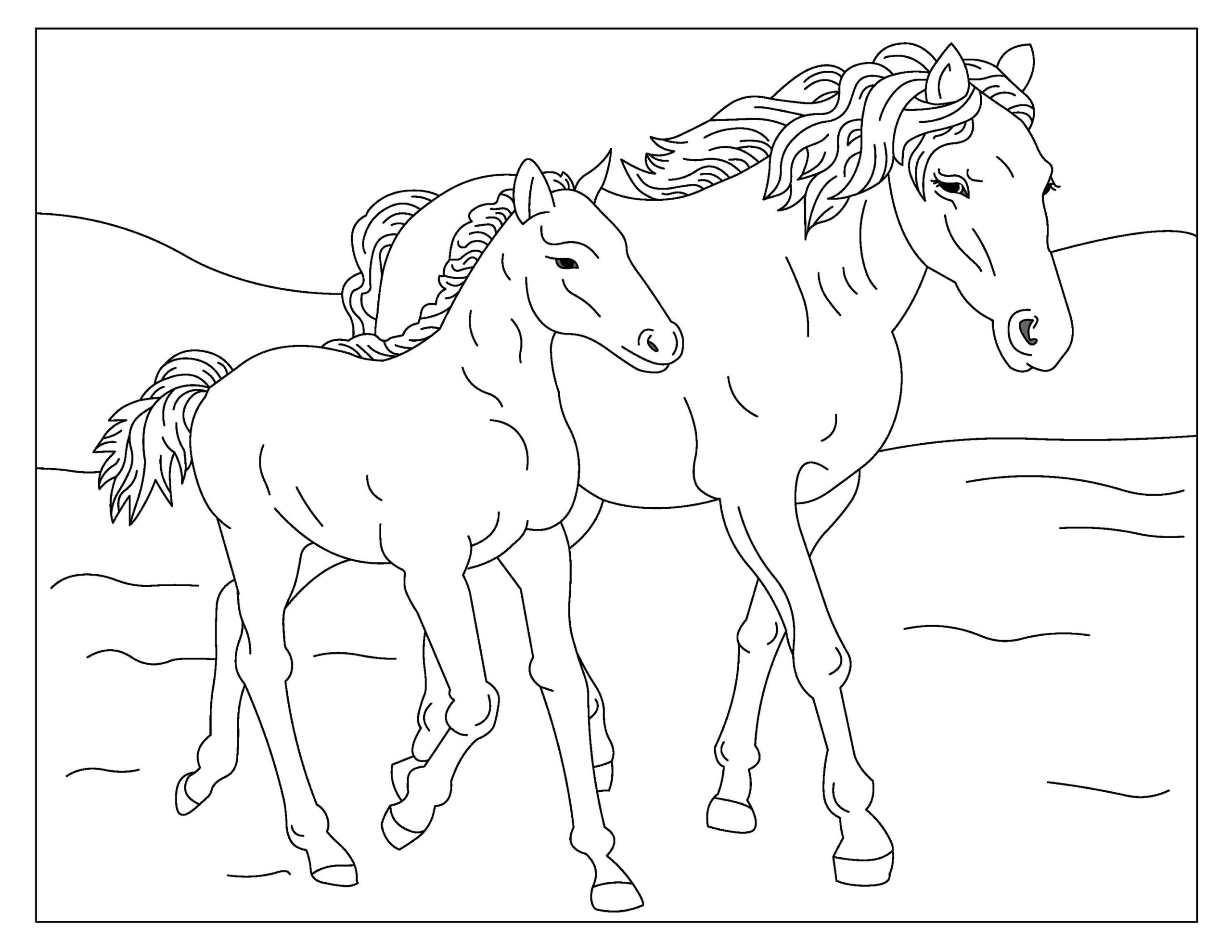 Wild Horses 2 32 Printable Coloring Pages Horse Coloring Book Instant Download PDF Etsy Wild Horses 2 32 Printable Coloring Pages Horse Coloring Book Instant Download PDF Etsy
