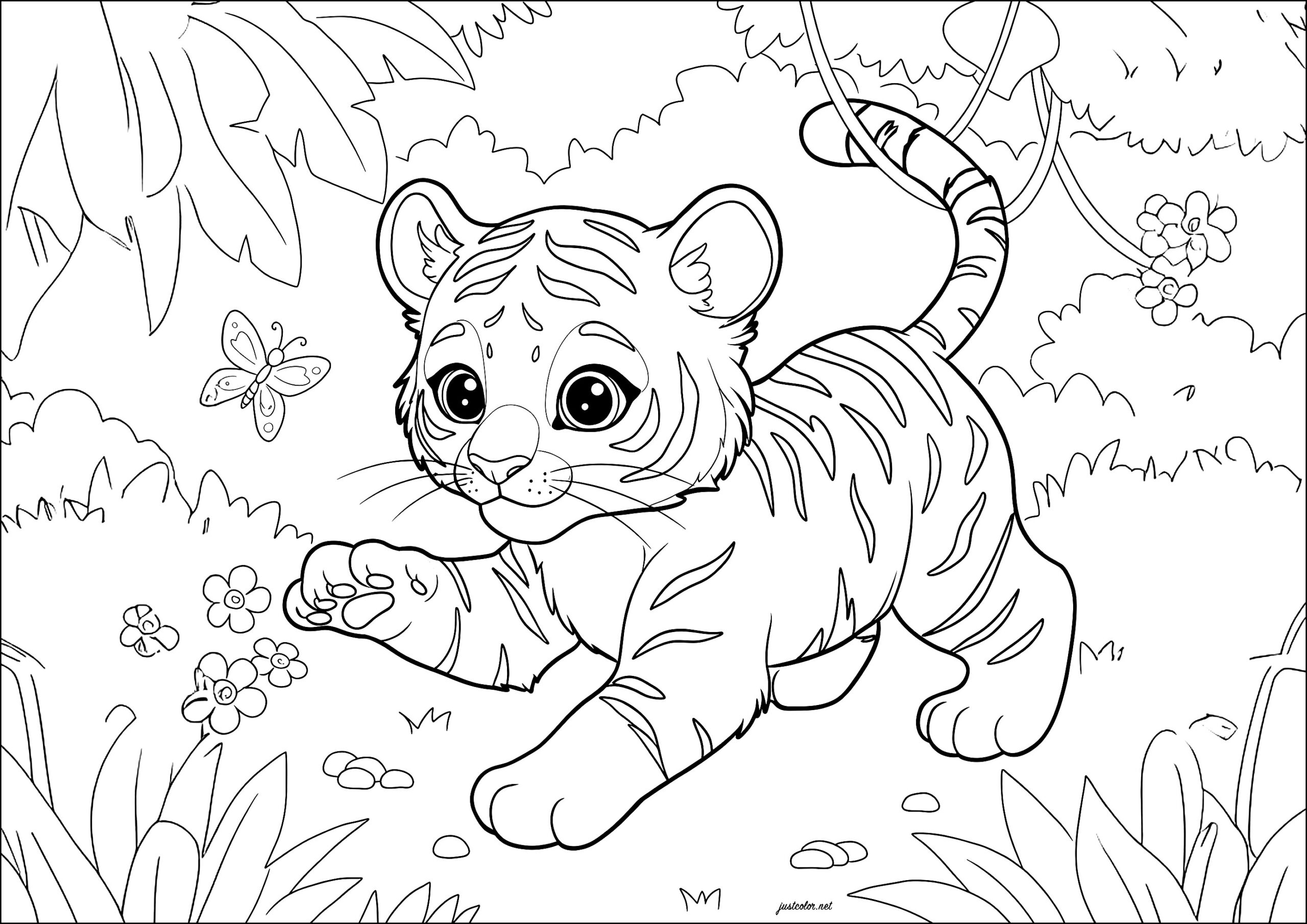 Young Tiger Playing With A Butterfly Tiger Coloring Pages Young Tiger Playing With A Butterfly Tiger Coloring Pages